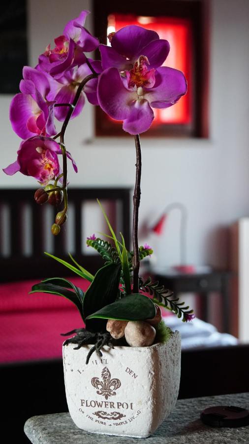 Bed & Breakfast Milu Cuneo Exteriér fotografie